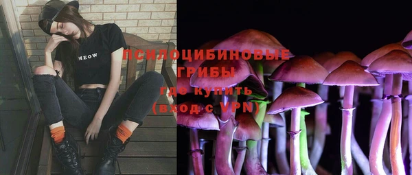 крисы Вяземский