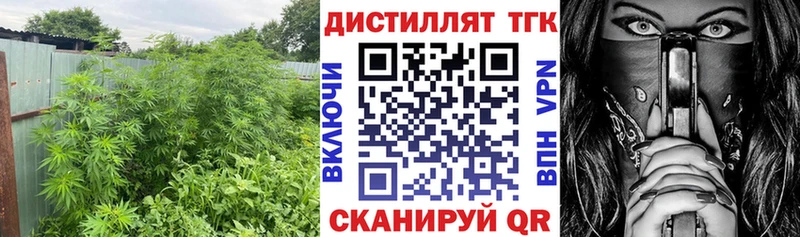 сколько стоит  Чулым  ТГК THC oil 